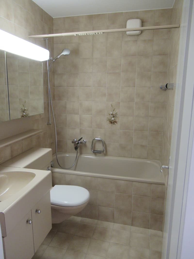 Spacious 3-room cooperative apartment near the Rhine! (3)