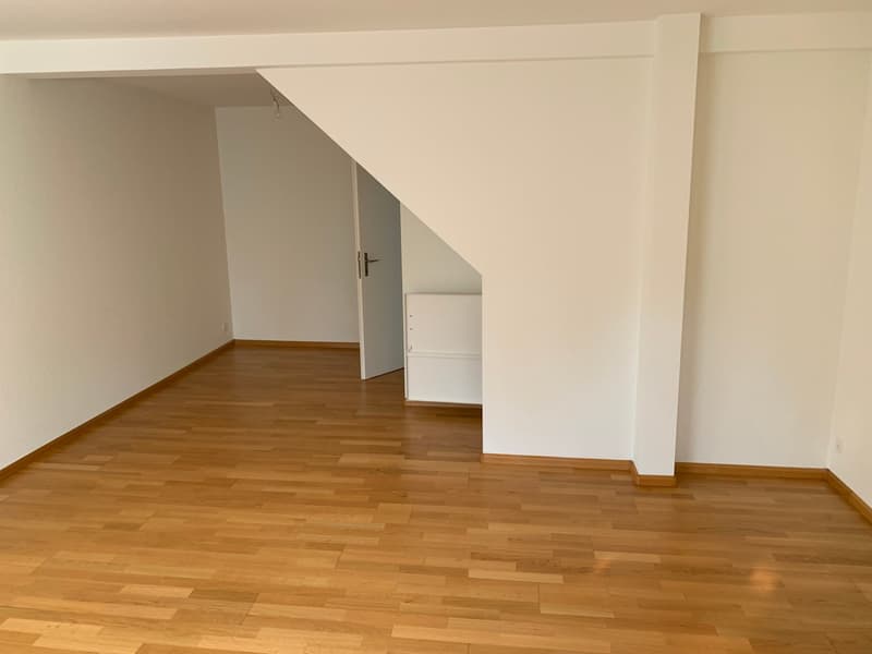 Ottimo appartamento di 2,5 locali in cooperativa in un bellissimo prato! (6)