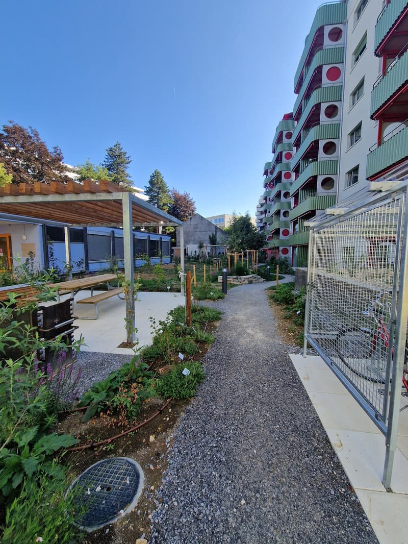 Appartement coopératif spacieux 3 pièces à proximité du Rhin ! (10)