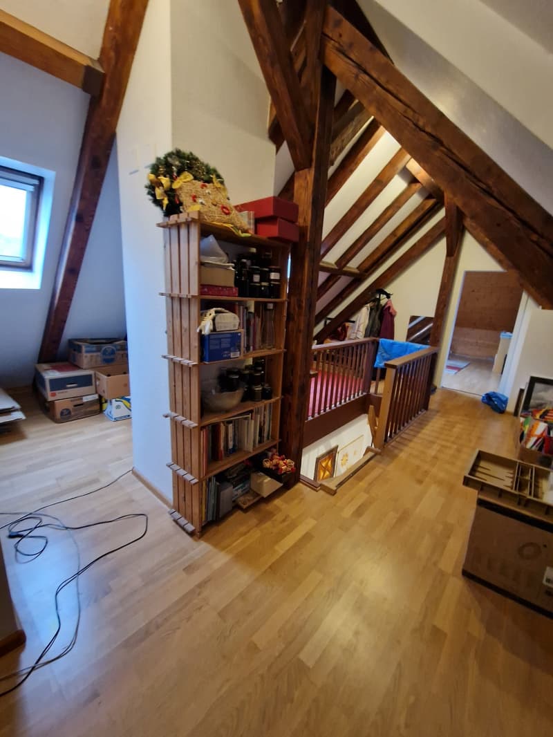 Maisonette-Genossenschafts-Wohnung mit grosser Dachterasse, mitten im Gundeli! (7)