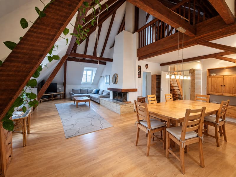 Maisonette-Genossenschafts-Wohnung mit grosser Dachterasse, mitten im Gundeli! (4)