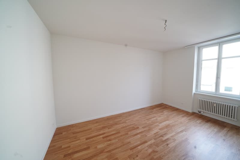 Maisonette-Genossenschafts-Wohnung mit grosser Dachterasse, mitten im Gundeli! (6)