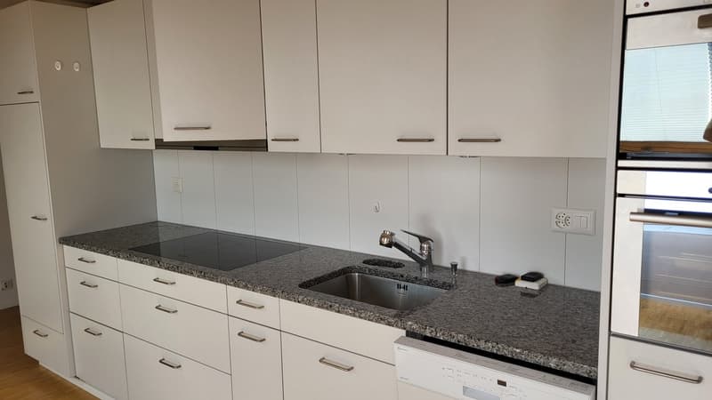 stainless steel sink, granite countertops, modern cabinetry, dishwasher, oven