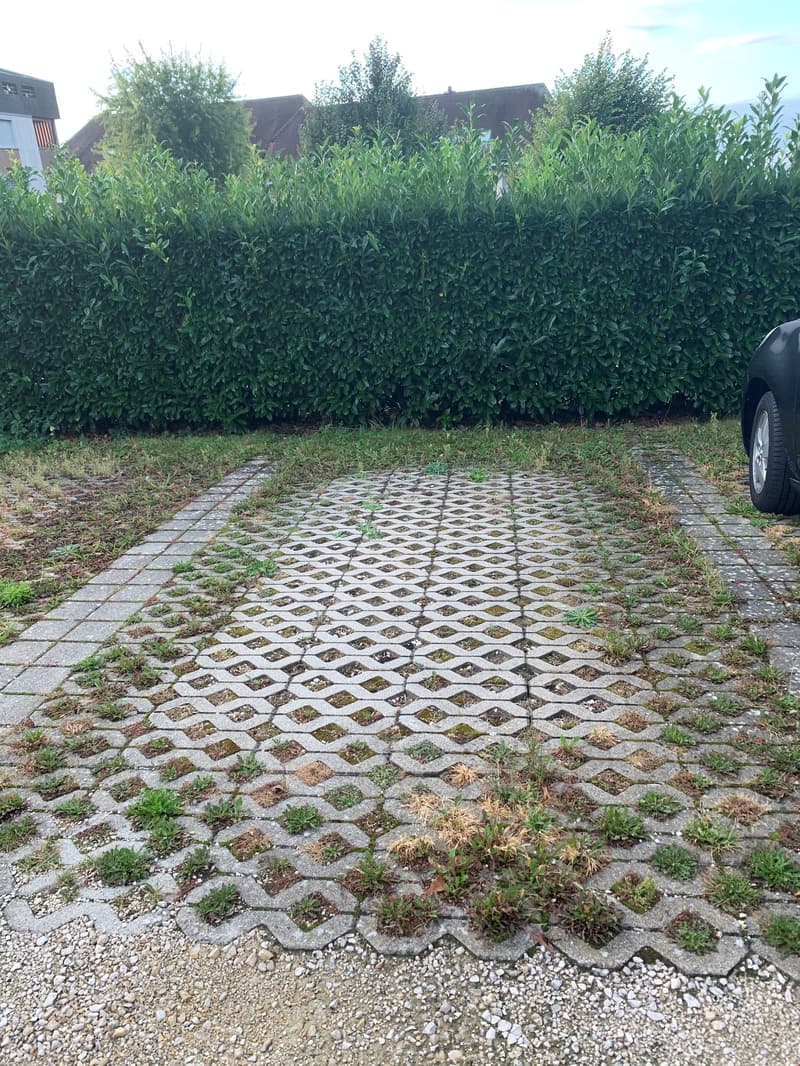 Parcheggio esterno in affitto (1)