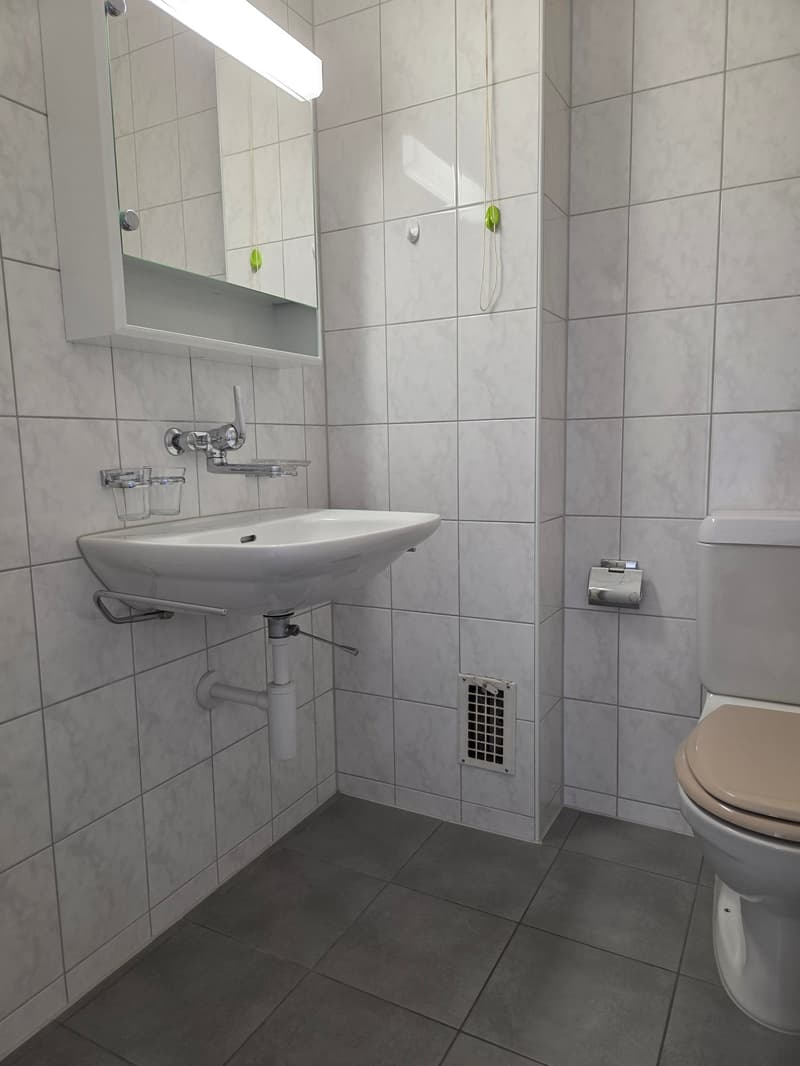 3.5 room apartment with balcony (4)