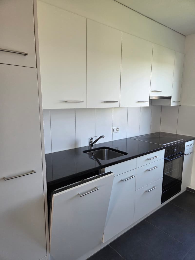 3.5 room apartment with balcony (3)