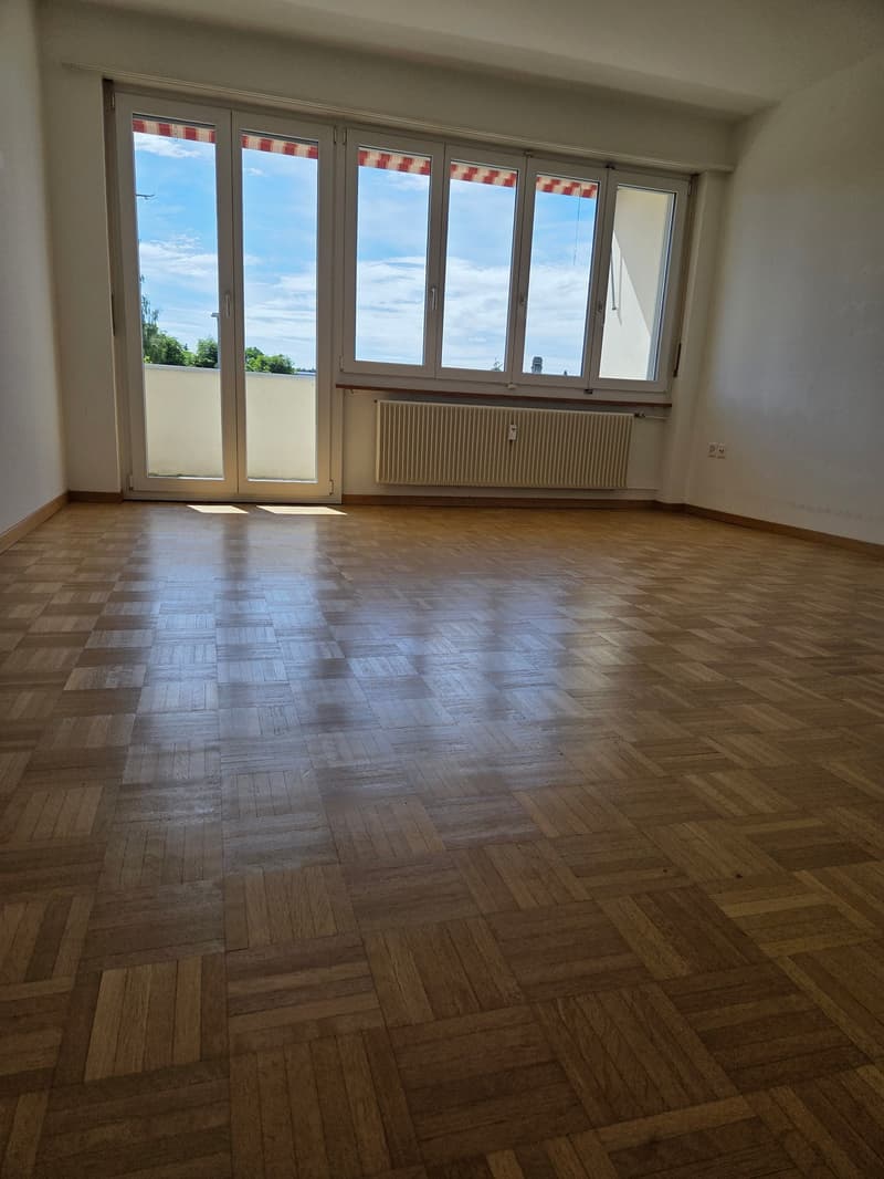 3.5 room apartment with balcony (7)