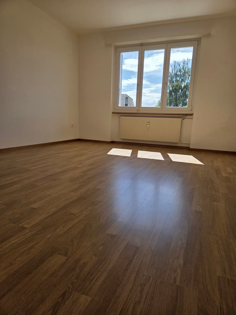 3.5 room apartment with balcony (6)
