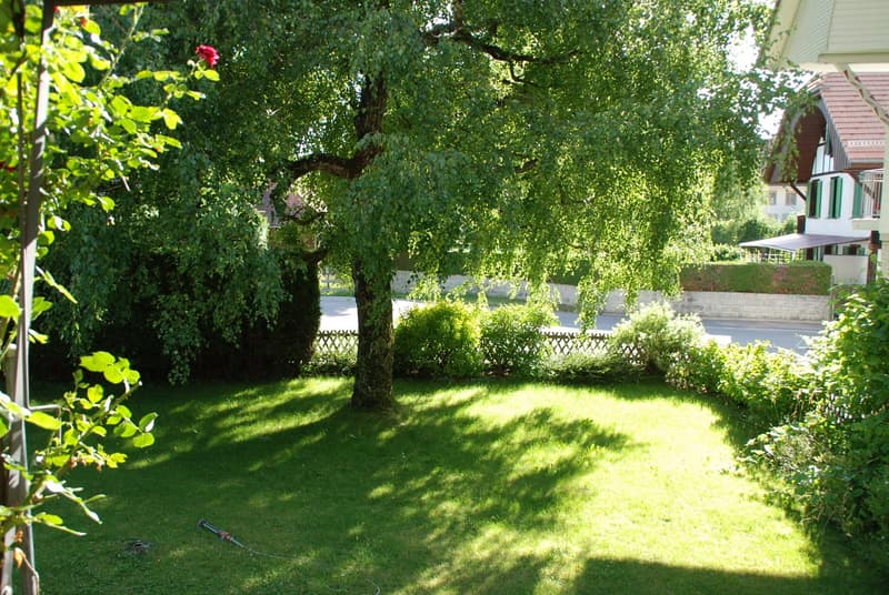 Residential house with commercial annex (9)