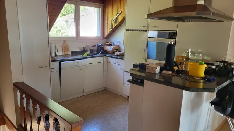 Residential house with commercial annex (39)