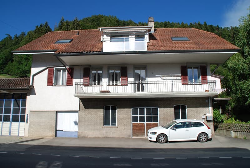 Residential house with commercial annex (2)