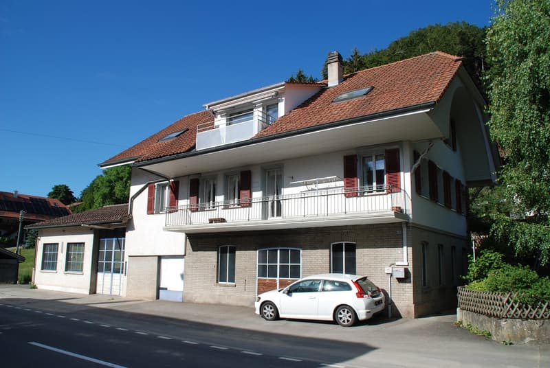Residential house with commercial annex (3)