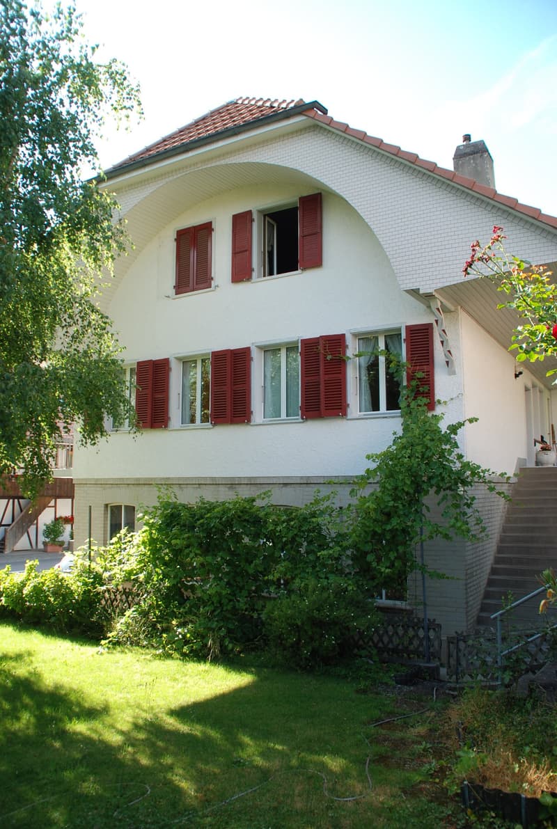 Residential house with commercial annex (6)