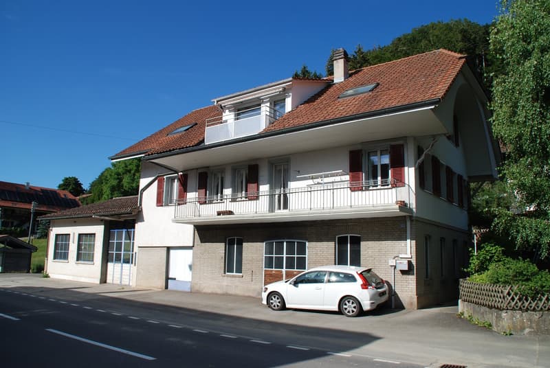 Residential house with commercial annex (4)
