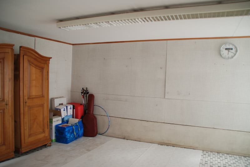 Residential house with commercial annex (21)