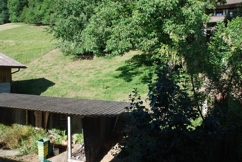 Residential house with commercial annex (12)