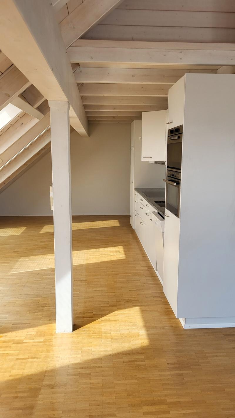 Schöne, zentral gelegene Loft-Dachwohnung mit Klimaanlage (6)