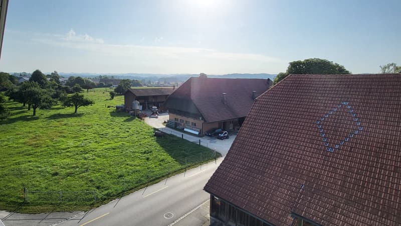 Schöne, zentral gelegene Loft-Dachwohnung mit Klimaanlage (3)