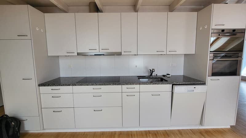 Schöne, zentral gelegene Loft-Dachwohnung mit Klimaanlage (8)