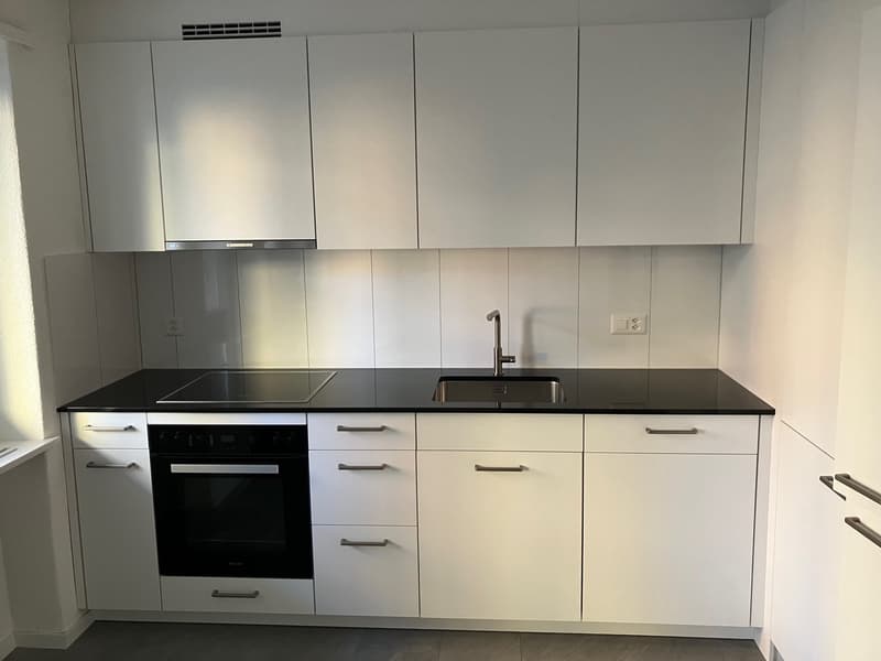 3.5 Room Apartment / First Rental after Complete Renovation (2)