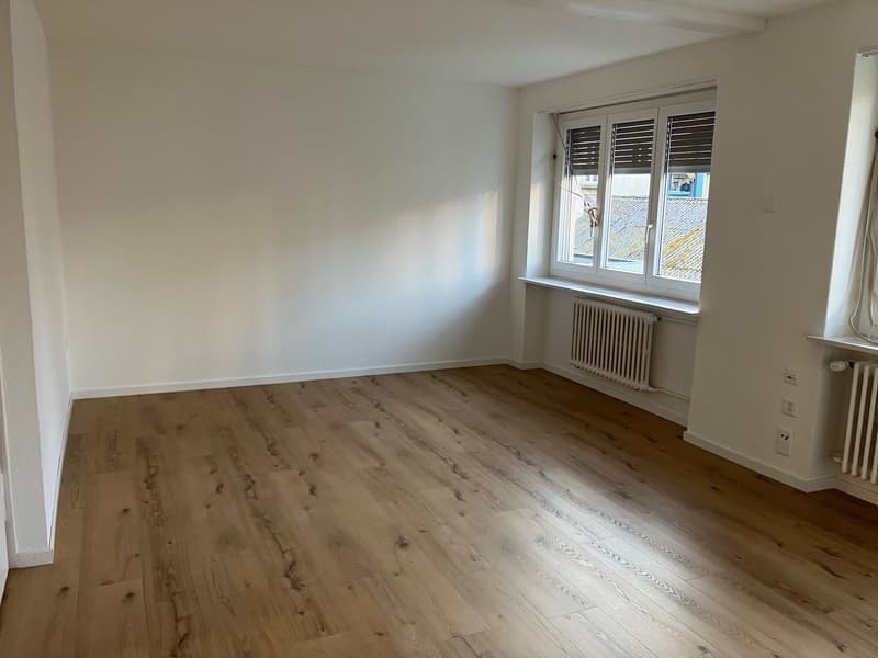 3.5 Room Apartment / First Rental after Complete Renovation (5)