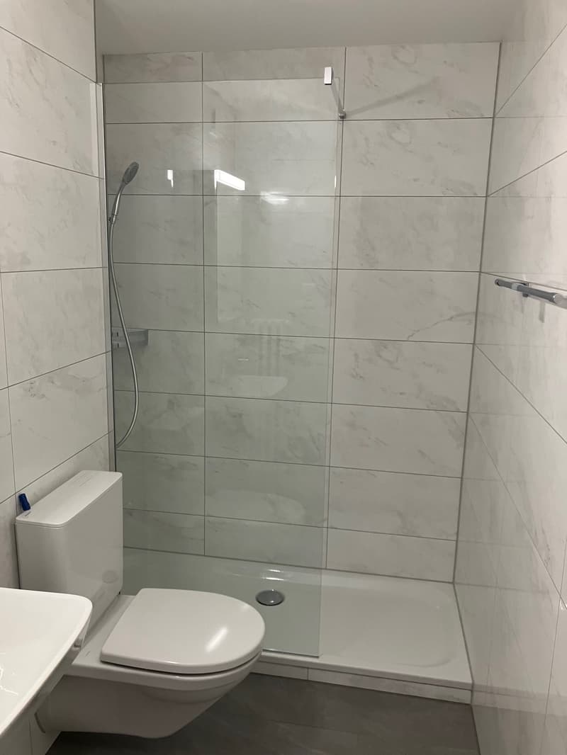 3.5 Room Apartment / First Rental after Complete Renovation (4)