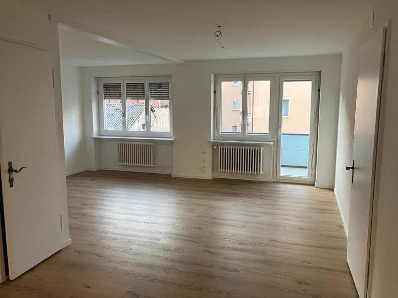 3.5 Room Apartment / First Rental after Complete Renovation (3)