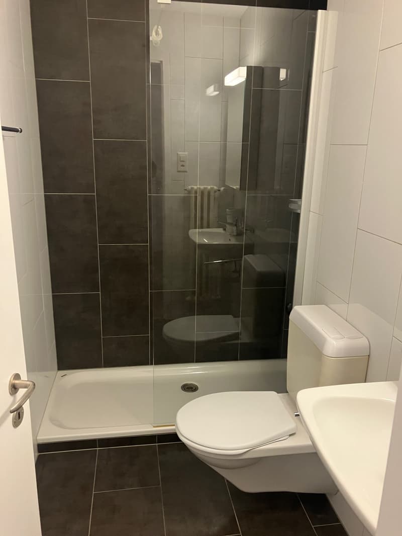3.5 Zimmer Wohnung / Erstvermietung nach Komplettsanierung (4)