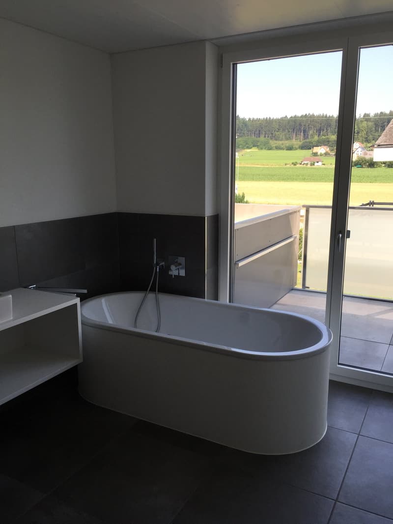 Modernes 4.5-Zimmer-Reihenhaus in Biberist (7)