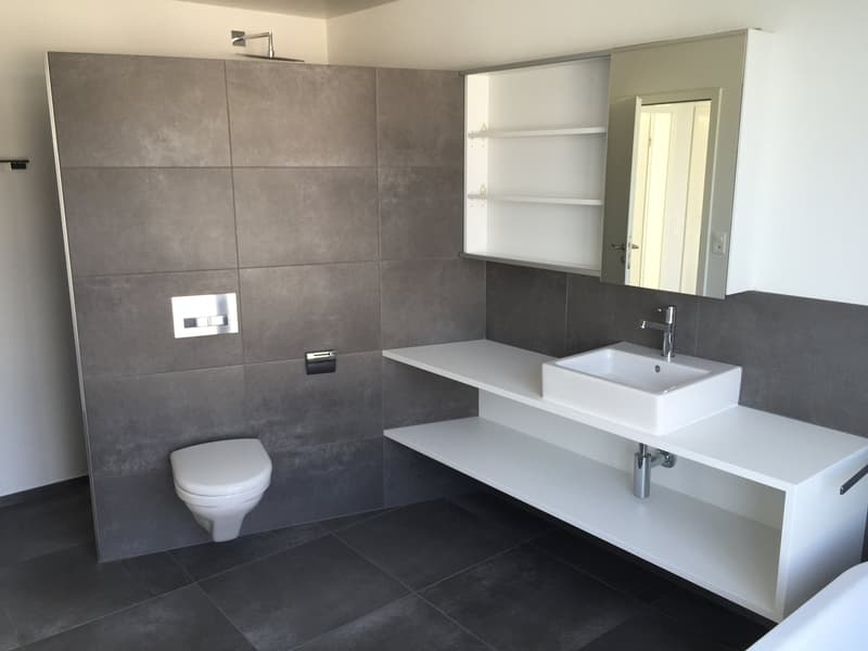 Modernes 4.5-Zimmer-Reihenhaus in Biberist (6)