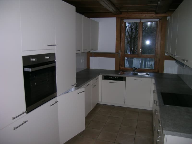 Gemütliche sehr grosse 4.5 Zimmer-Wohnung mit eigenem Garten (2)