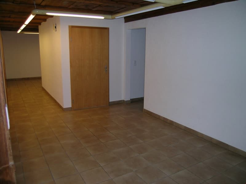 Gemütliche sehr grosse 4.5 Zimmer-Wohnung mit eigenem Garten (3)