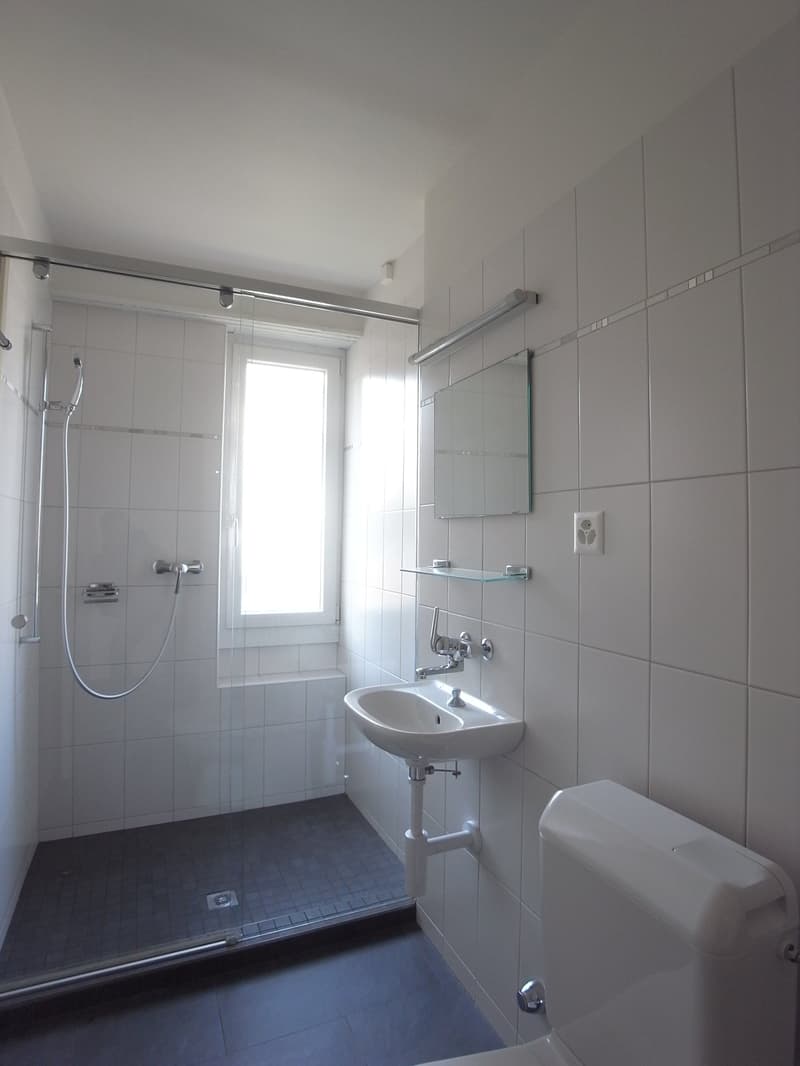 grosszügige Wohnung auf dem Bruderholz (7)