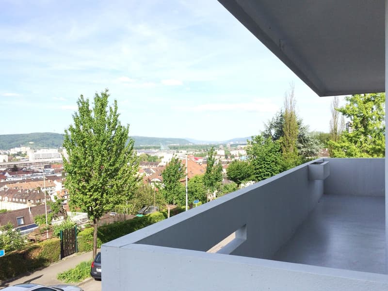 grosszügige Wohnung auf dem Bruderholz (10)