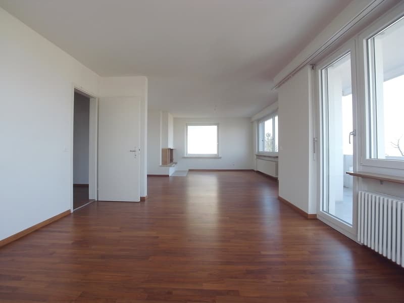 grosszügige Wohnung auf dem Bruderholz (2)