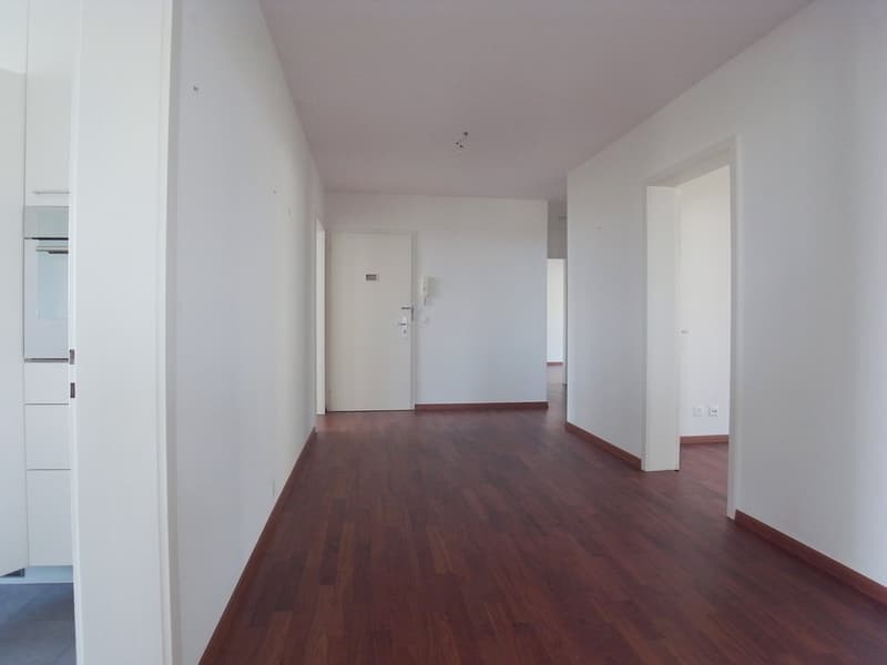 grosszügige Wohnung auf dem Bruderholz (4)