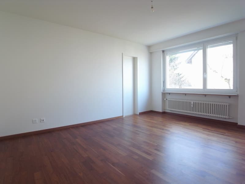 grosszügige Wohnung auf dem Bruderholz (8)