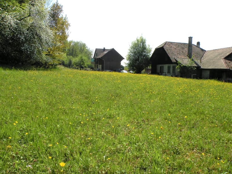 Ihr Eigenheim in der Gemeinde Lyss-Busswil (9)