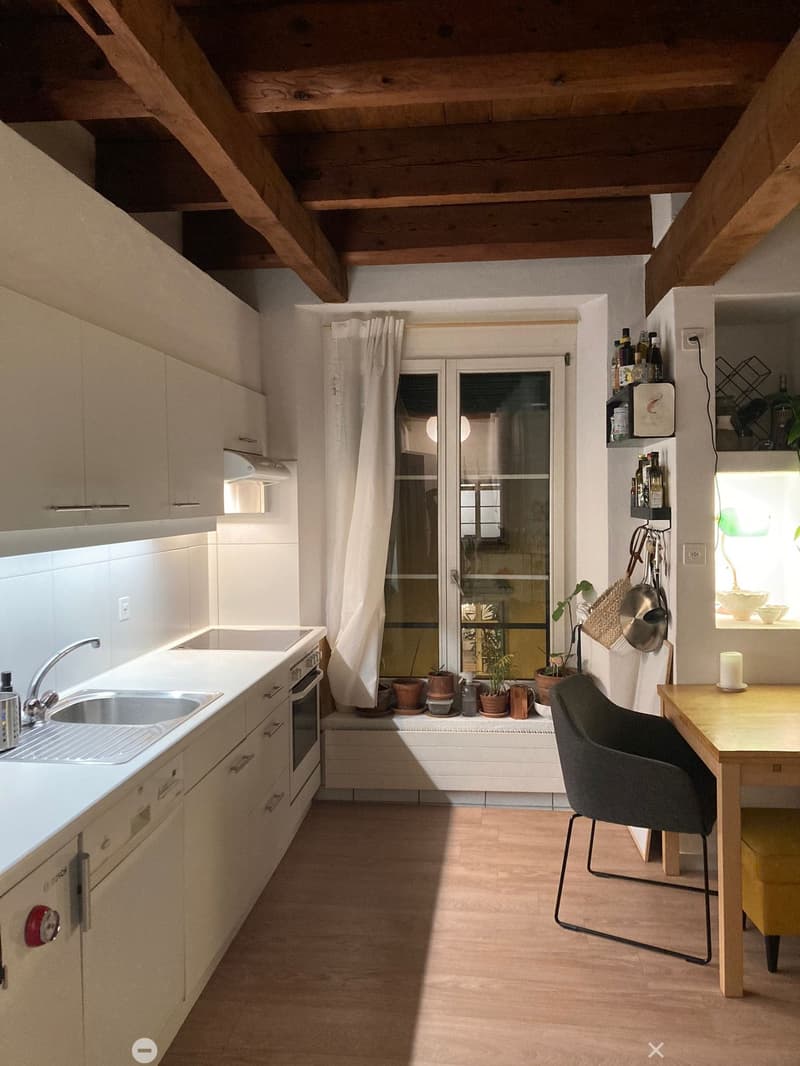modern white kitchen, wooden ceiling beams, floor-to-ceiling windows, integrated dishwasher and washing machine, window seat with plants