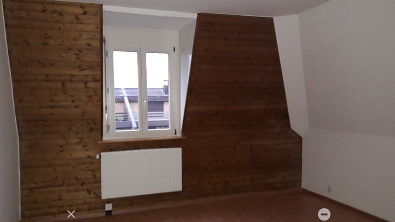 Charmante 4-Zimmer-Dachwohnung (6)