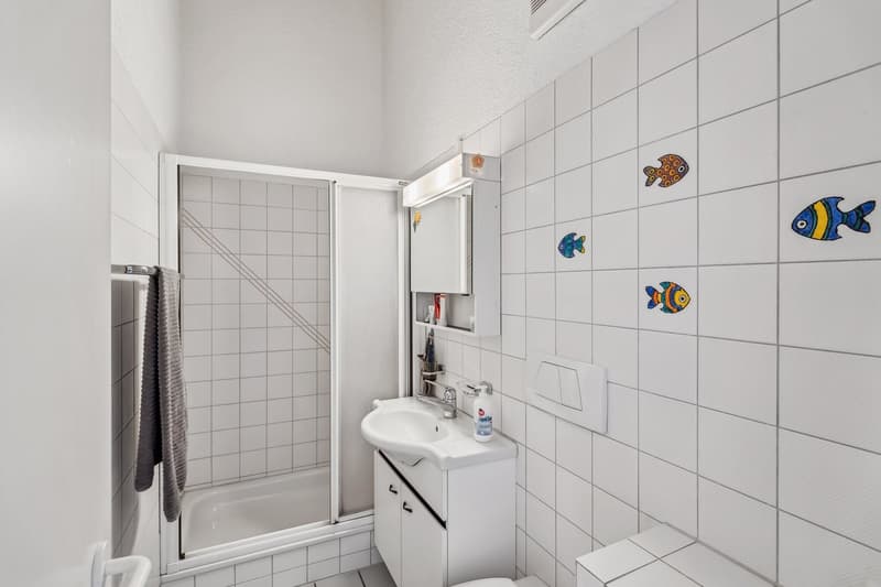 Charmante Dachwohnung mit Weitsicht (9)