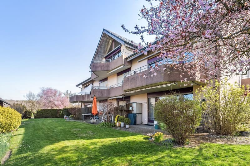 Charmante Dachwohnung mit Weitsicht (2)