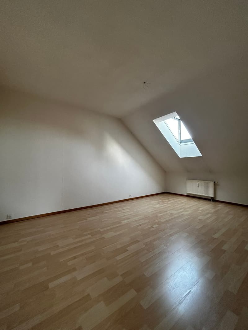 Duplex-Wohnung 3.5-Zimmer zur Miete (6)