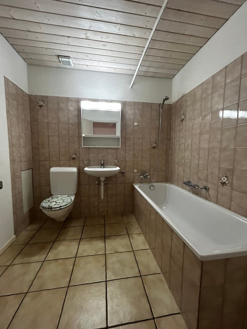 Duplex-Wohnung 3.5-Zimmer zur Miete (8)