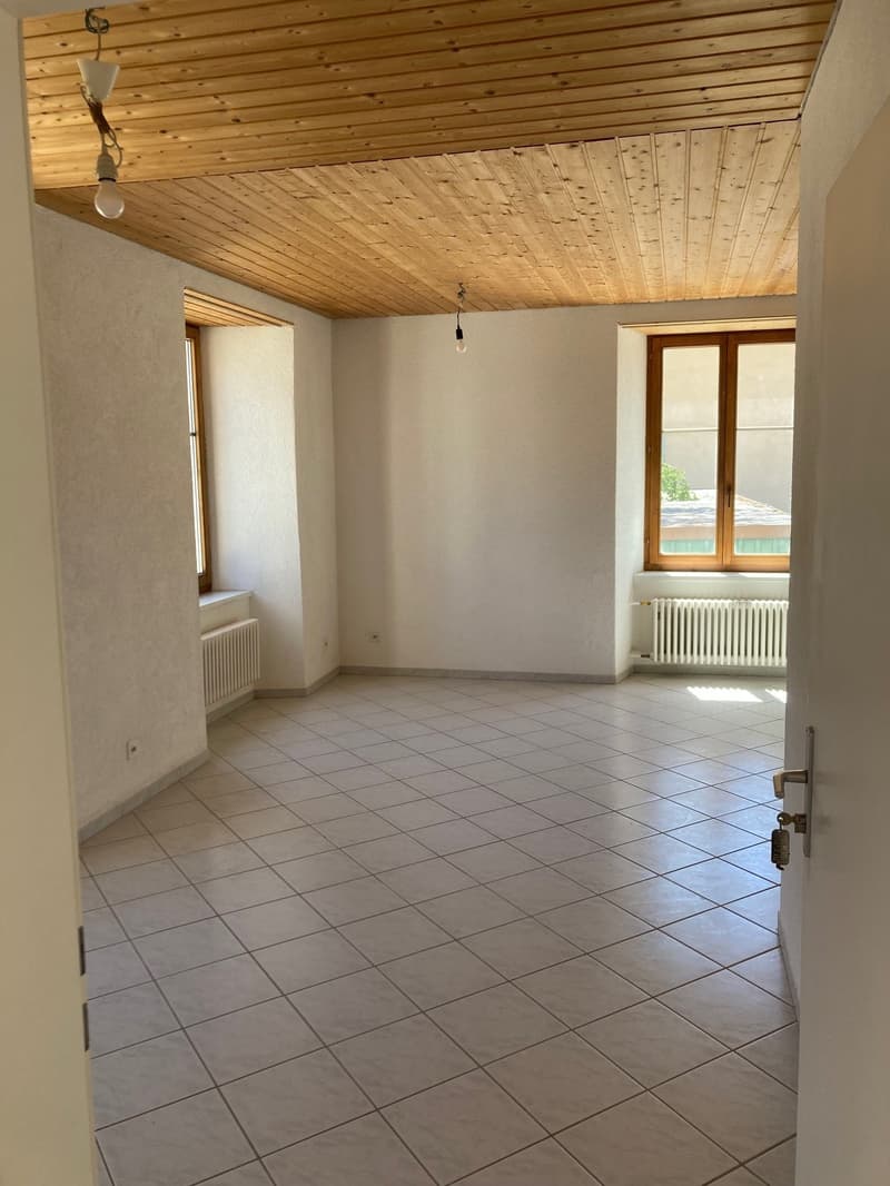 Appartamento di 1,5 locali luminoso e confortevole (2)