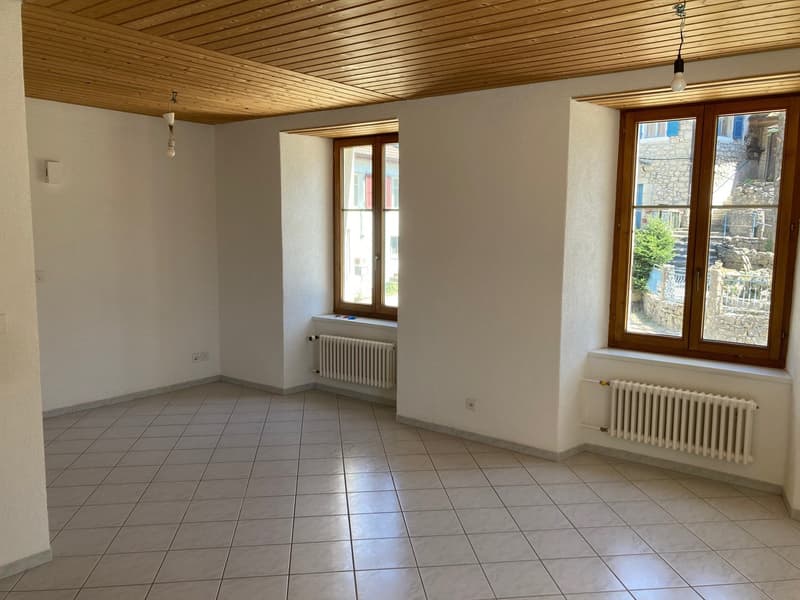 Appartamento di 1,5 locali luminoso e confortevole (3)