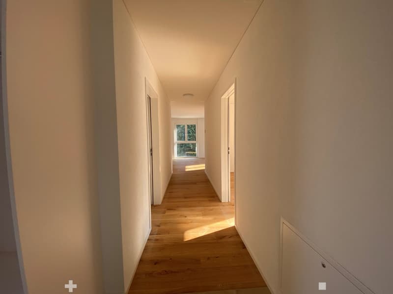 Wooden floor, white walls, glass window, hallway to rooms.