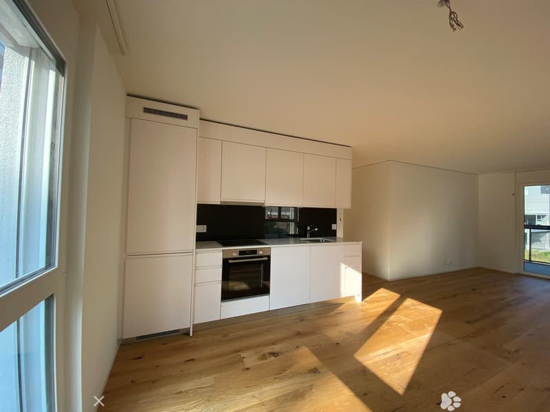 Modern kitchen, wooden floor, white cabinets, integrated appliances, glass window, balcony