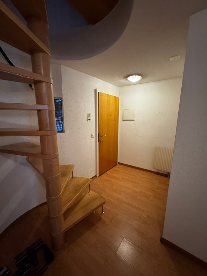 Eingangsbereich / Entrée