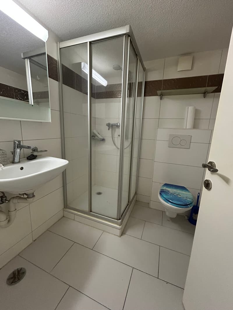 Cozy 2.5-room apartment with garden seating in the city (5)